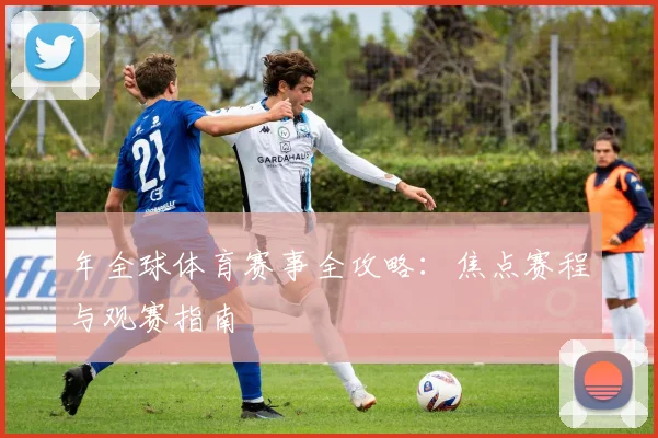 年全球体育赛事全攻略:焦点赛程与观赛指南